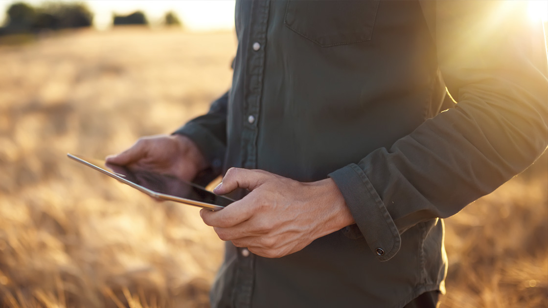 Man using a tablet in a field