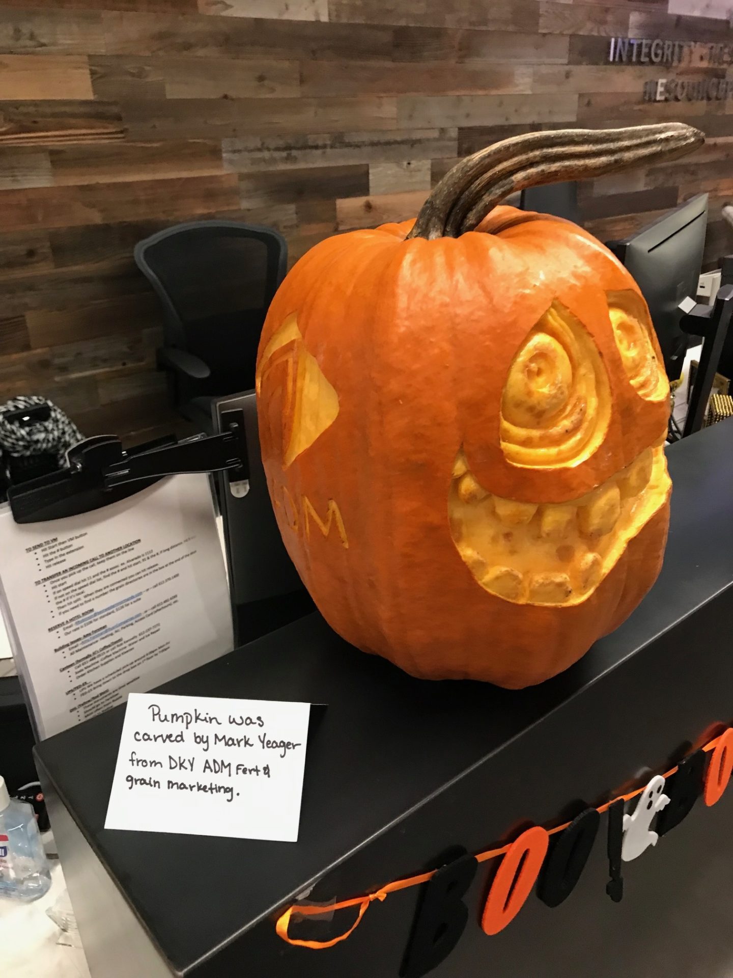 Pumpkin on ADM's front desk